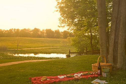 Castle In The Country Bed & Breakfast Inn Allegan Bagian luar foto